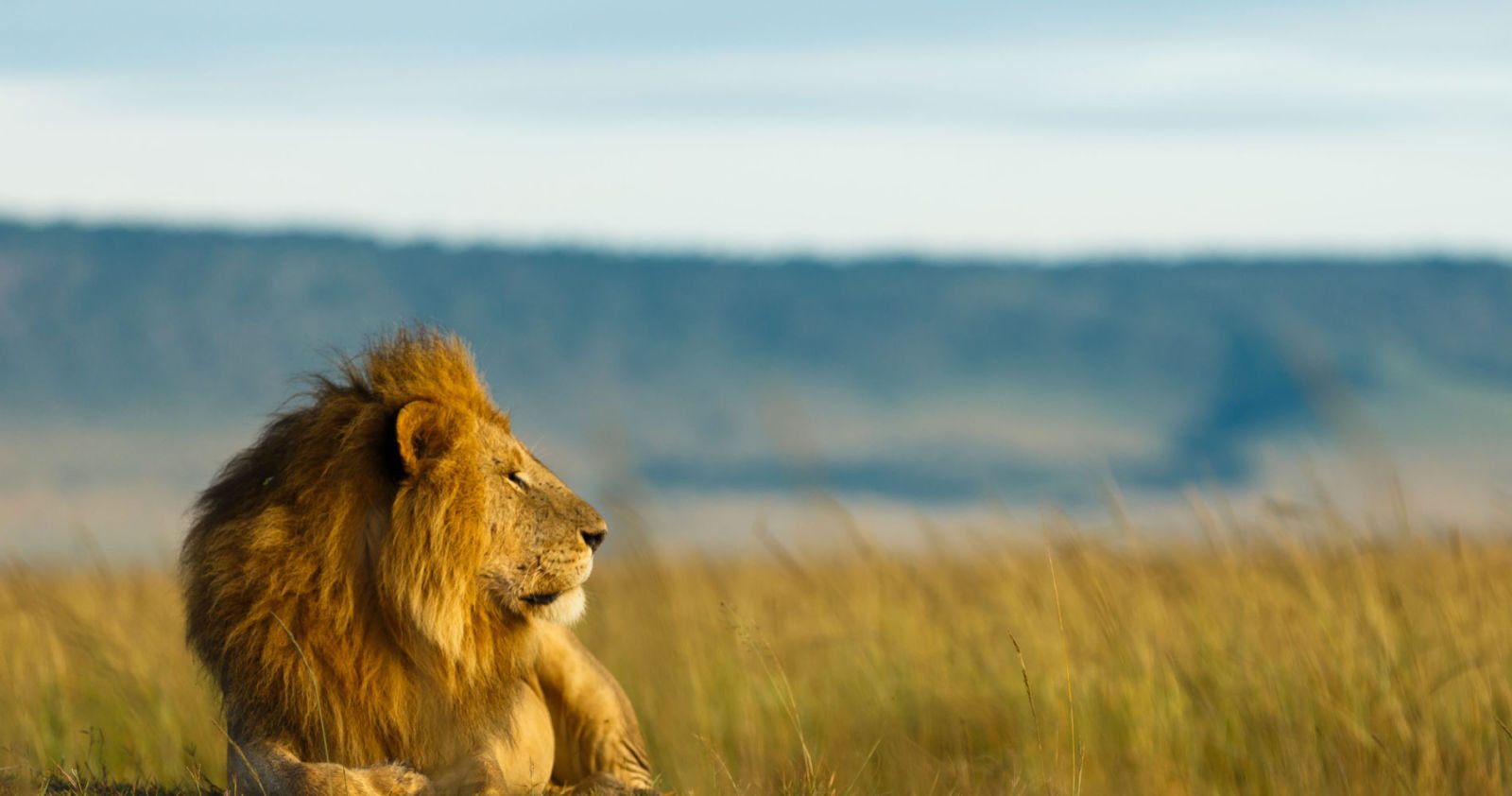 5 daagse Tanzania Safari – National Parks