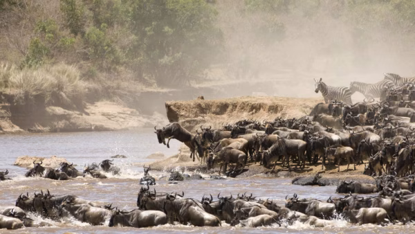 Serengeti-grote-trek-Tanzania-specialist-1900x1000