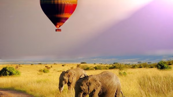 balloon-1951459_1280